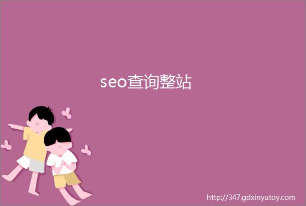 seo查询整站